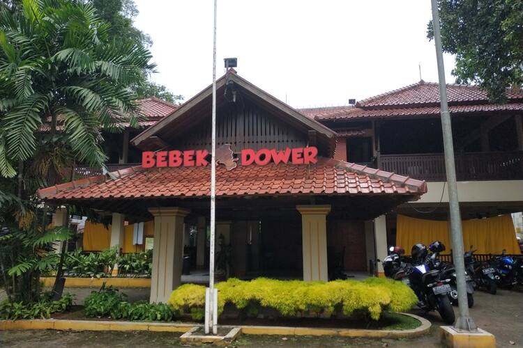 Bebek Dower Cilandak Jakarta Bebek Dower Cilandak Jakarta